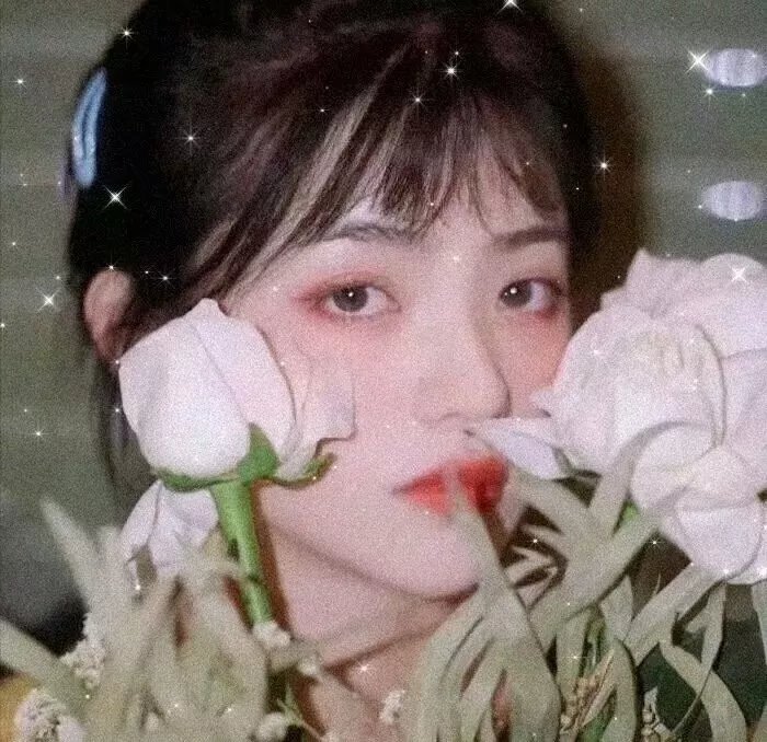 无爱理想国